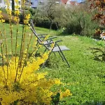 Seehang Meersburg