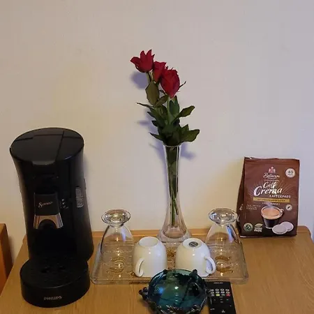 בית הארחה Seehang מיירסבורג