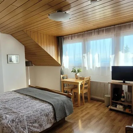 Seehang Gasthuis Meersburg