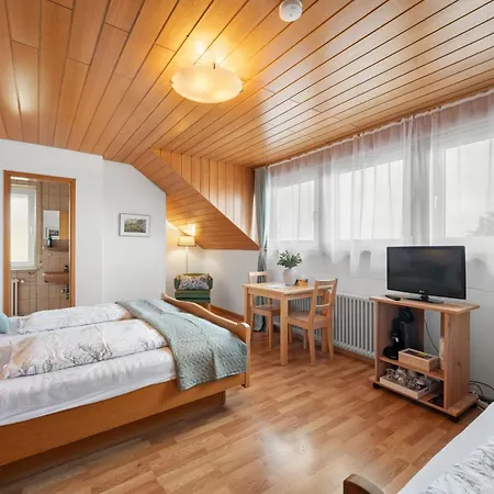 Seehang Guest house Meersburg