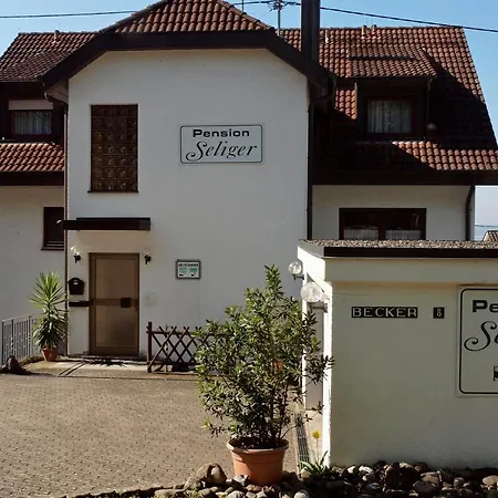 Seliger Meersburg