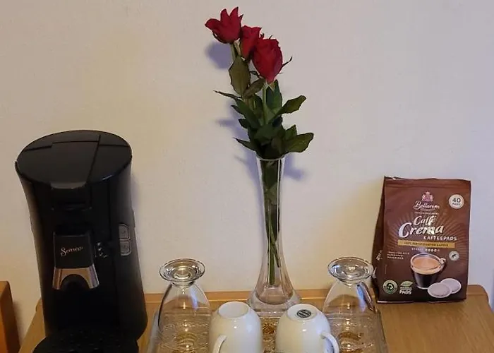 Pensjonat Seehang Meersburg